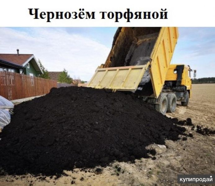 Чернозем торфянистый в Калининграде