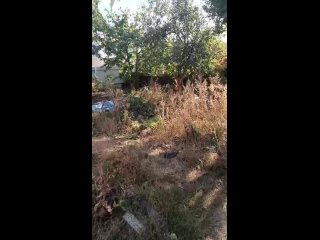Нужно 2 человека для уборки территории и загрузки в камаз! Район 75..