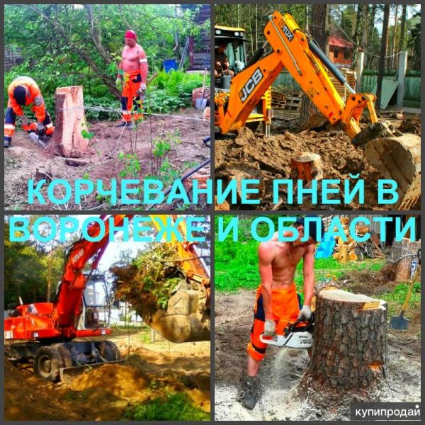 Корчевание пней в Воронеже, выкорчевать пень. в Воронеже