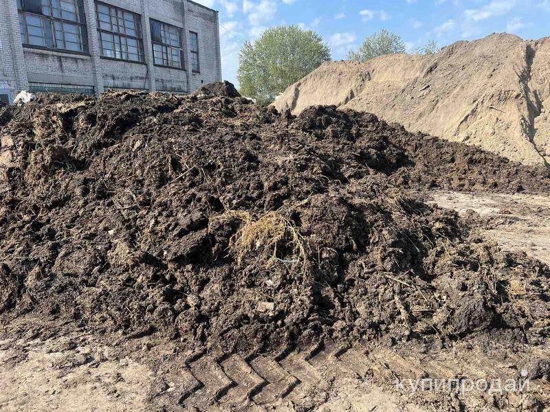 Навоз в Калининграде