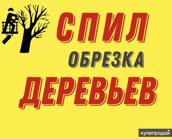 Спил деревьев в Яблоновском