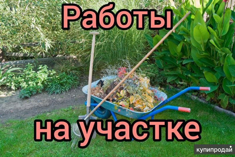 Обрезка плодовых деревьев Работы в саду в Калуге
