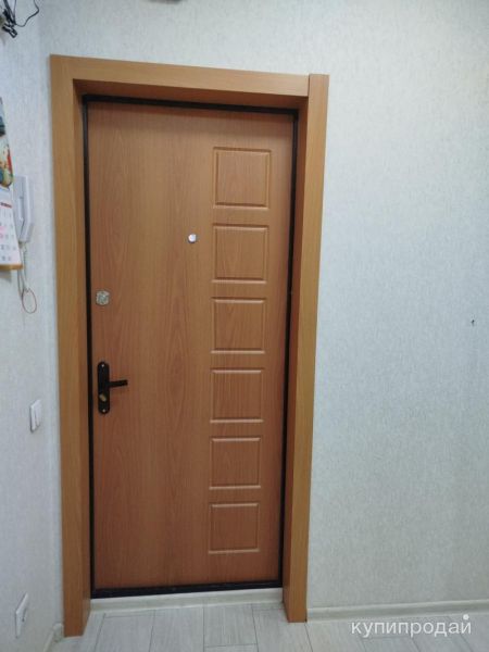 Дверь входная в Москве