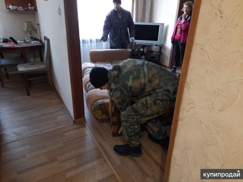 Вывозим Утилизируем мусор Омск Пригород в Омске
