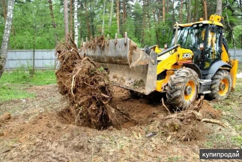 Расчистка участков. в Сочи