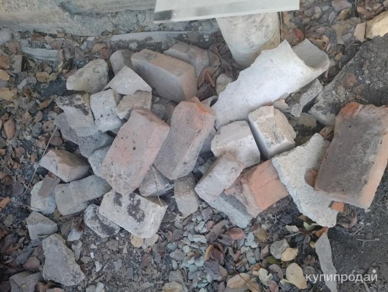 Отдам бесплатно в Ставрополе