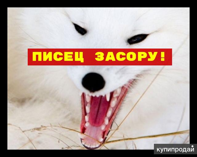 Чистка канализации видеодиагностика труб в Москве