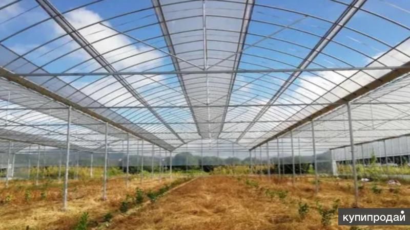 установка теплицы, ремонт теплиц, сборка теплицы в Калуге