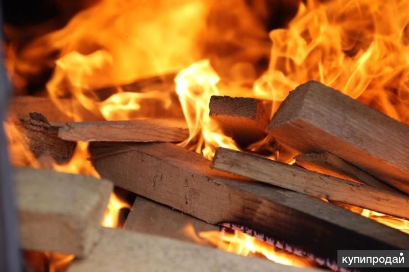 Берёзовые дрова в домодедово в Домодедове