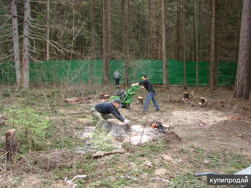 Расчистка участка. Благоустройство. в Краснодаре