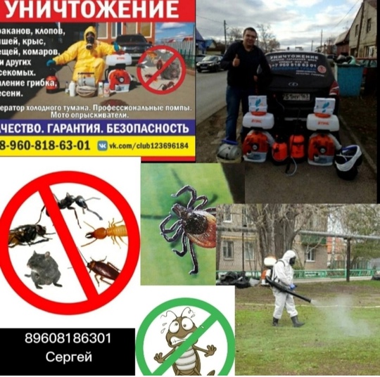 УНИЧТОЖЕНИЕ НАСЕКОМЫХ  Тараканы, Клопы, Мыши и т.д. https://vk.com/club123696184 
 Звоните 89608186301 -..