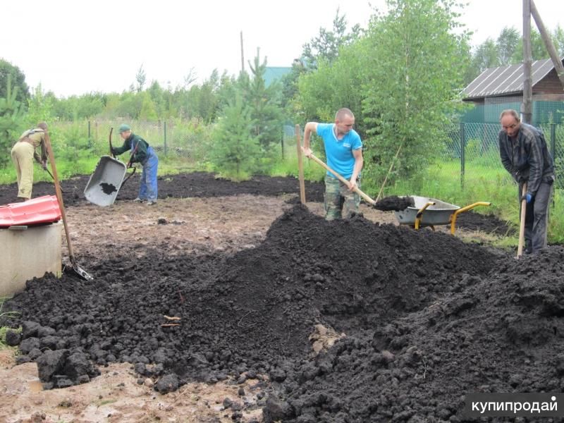 Землекопы Разнорабочие в Кимрах