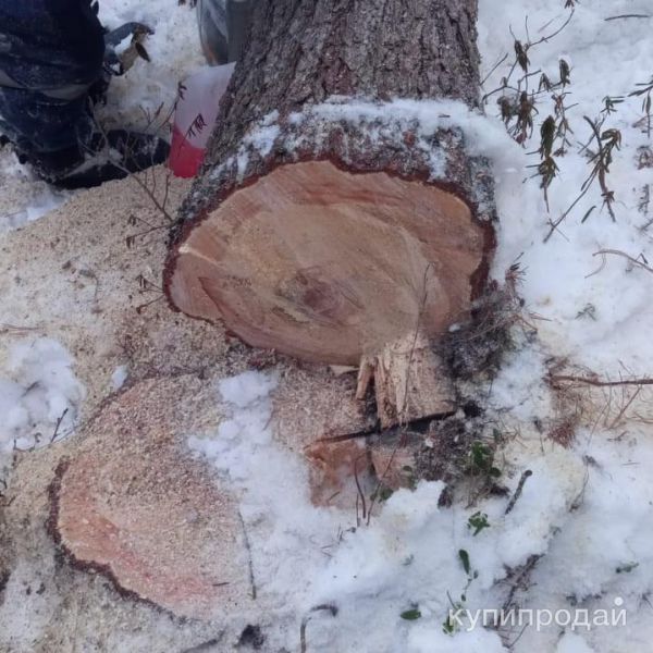 Строительство в Нижневартовске