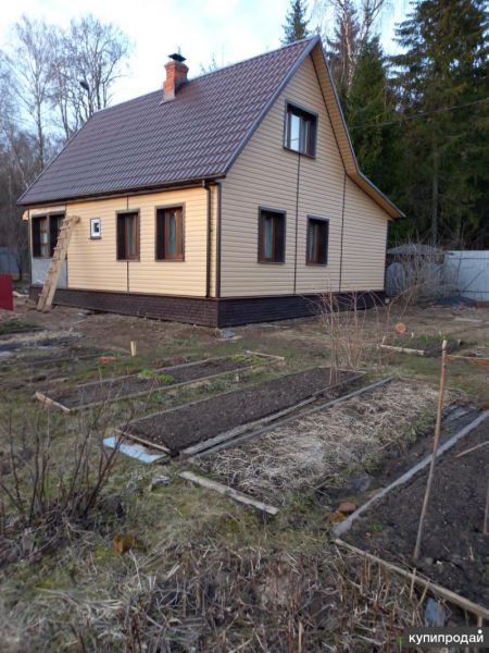 Строительная бригада в Домодедове