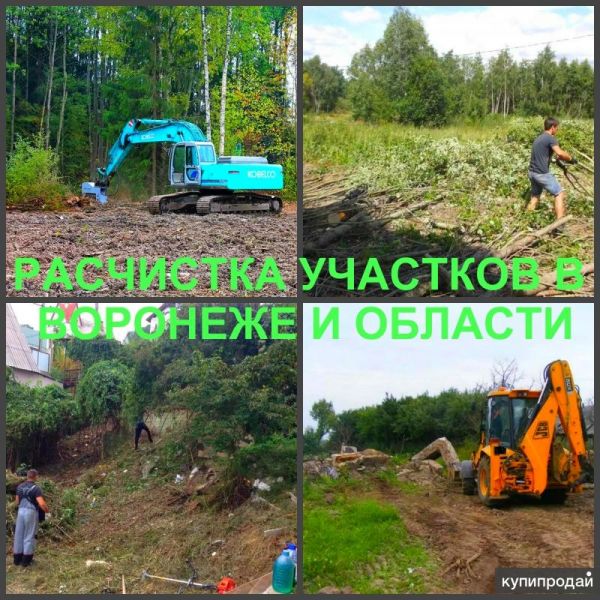 Расчистка Воронеж, расчистка участков в Воронеже в Воронеже