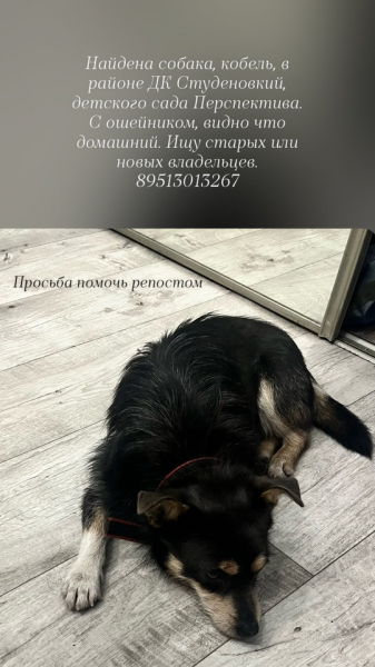 Остатки после ремонта Липецк..