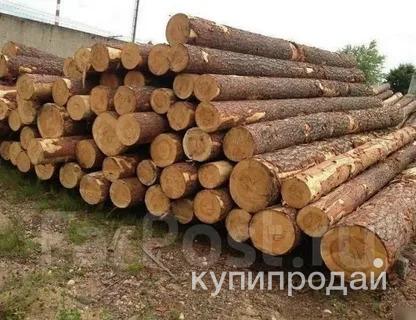 Лес круглый (сортимент).Лес круглый (сортимент) в Саянске