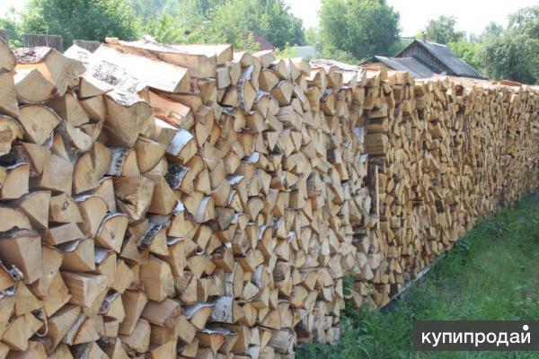 Берёзовые дрова в дмитрове яхроме талдоме дубне в Дмитрове