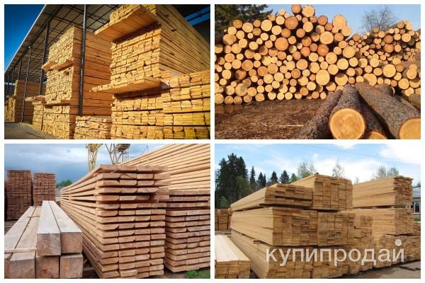 Куплю лес большими объёмами в Екатеринбурге
