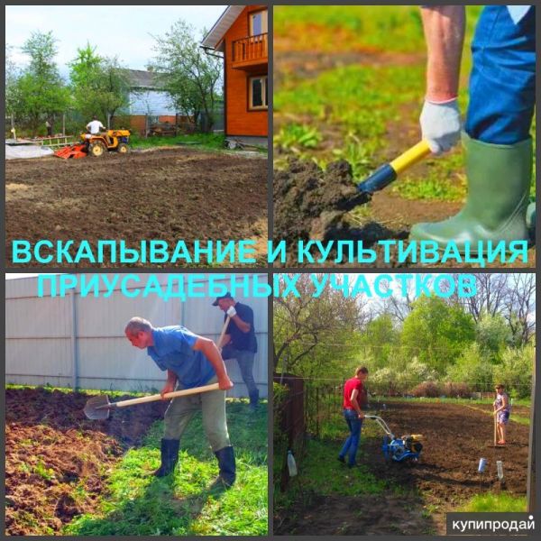 Вспашка, вскапывание и культивация земли, выравнивание участка. в Воронеже