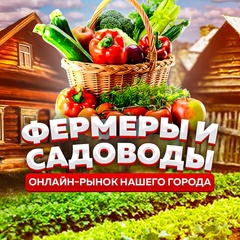 2024-12-24 09:22:17 GMT+00:00