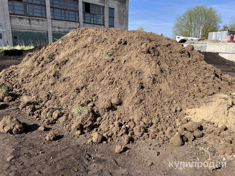 Плодородная земля в Калининграде