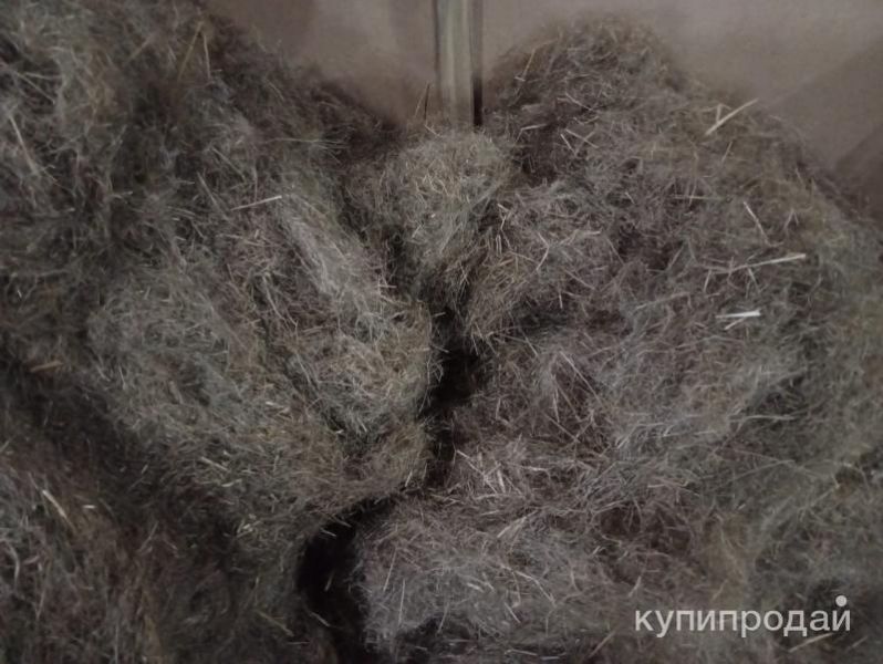 Пакля строительная в тюках по 10 кг. в Алтайском
