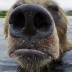 2024-12-31 18:25:11 GMT+00:00
