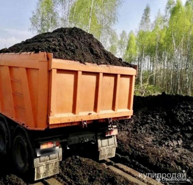 Чернозем в Сочи