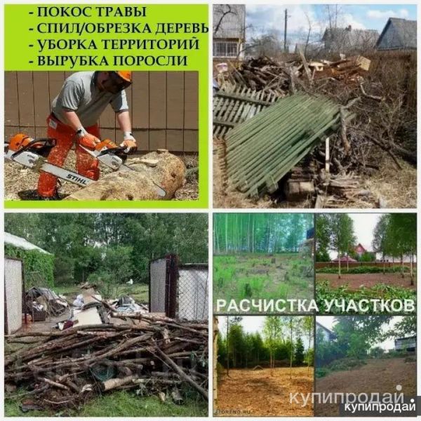 Расчистка, и уборка участков; Копка; Вызов мусора: Недорого! в Воронеже