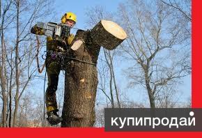 Спил деревьев,кустарников,веток,распилка в Иркутске