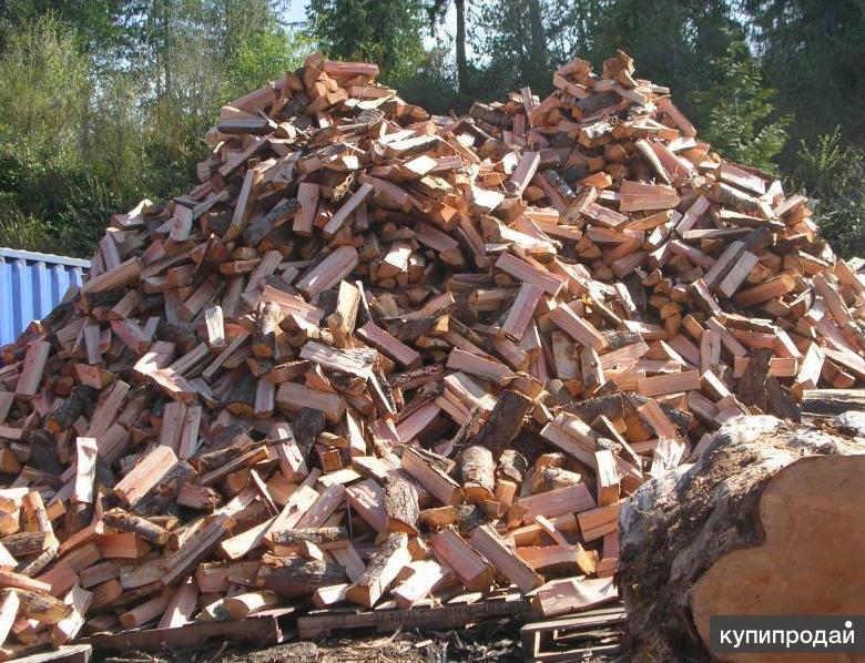 Берёзовые дрова в химки зеленограде в Химках