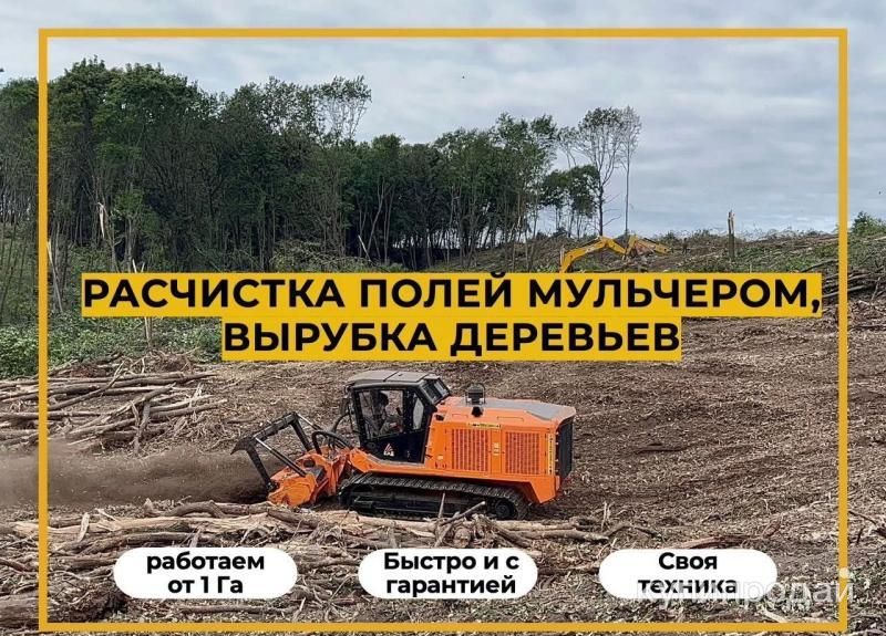 Расчистка участка мульчером от 1 Га, спил деревьев в Краснодаре