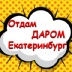 +7 919 872 71 93 
 [id851087487|Денис..