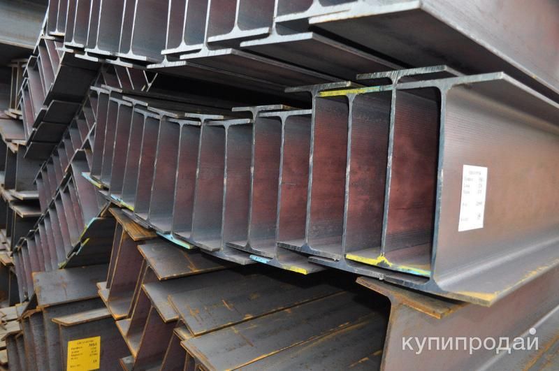 Двухтавр в Новосибирске
