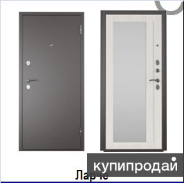 Дверь металлическая с зеркалом в Александрове