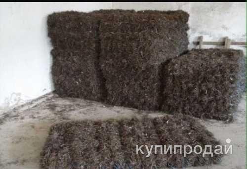 Природный утеплитель из водорослей в Симферополе