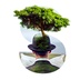 2025-03-20 05:33:43 GMT+00:00
