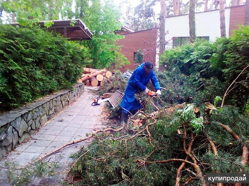 Расчистка участка в Новороссийске