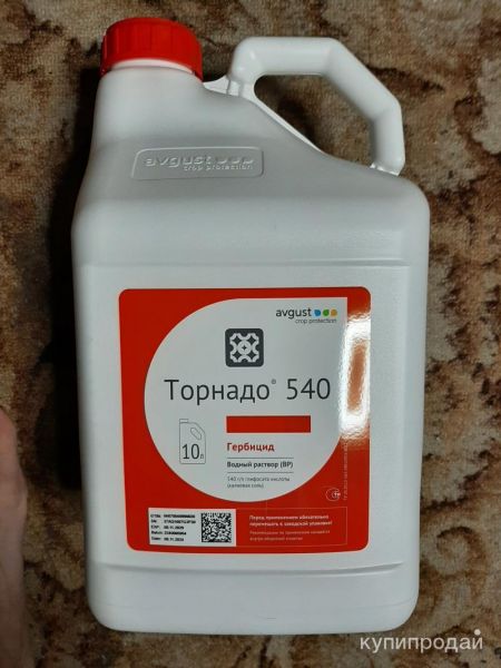 Каниста 10 л. ( б/у ) в Воронеже