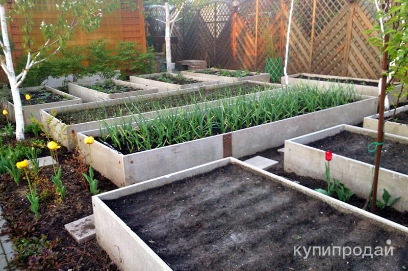 Шифер плоский для грядок 8х1500х300 в Ставрополе