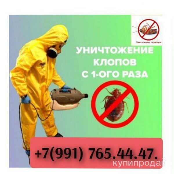 КЛОП ТАРАКАН ДАРЫЛАЙБЫЗ 6 АЙ ГАРАНТИИ БЕРЕБИЗ. в Москве