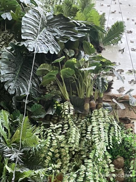 Продается искусственная стена. в Москве