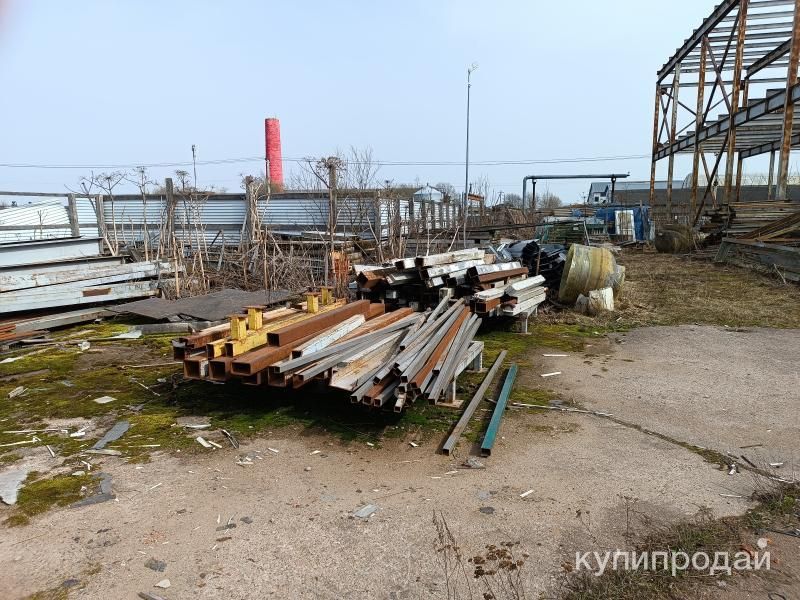 Балка в Красном Селе