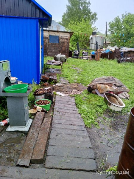 Скосить траву триммером. в Бийске