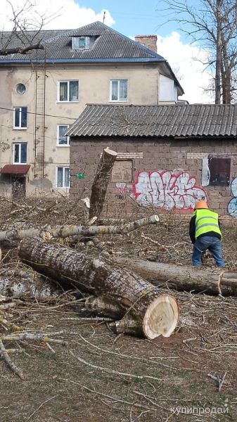 Вырубка и спил зелёных насаждений в Санкт-Петербурге