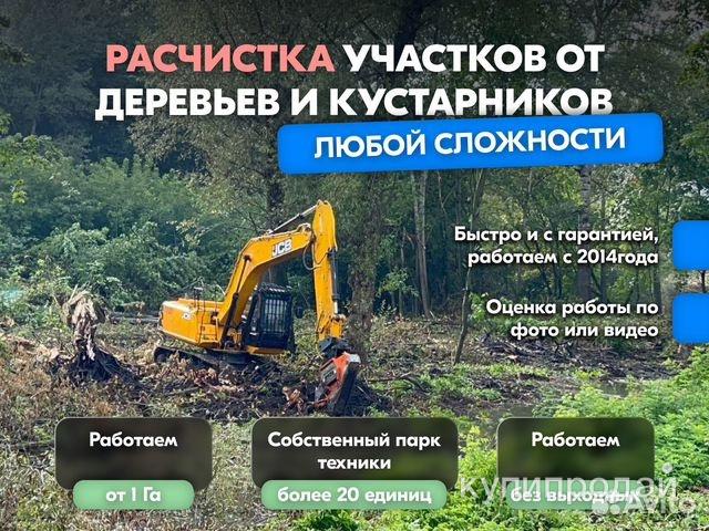 Расчистка территорий от деревьев и пней от 1 Га в Брянске