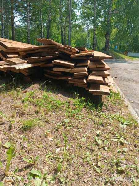 Продам лес в Новосибирске