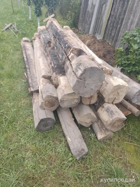 Отдам бесплатно в Почепе