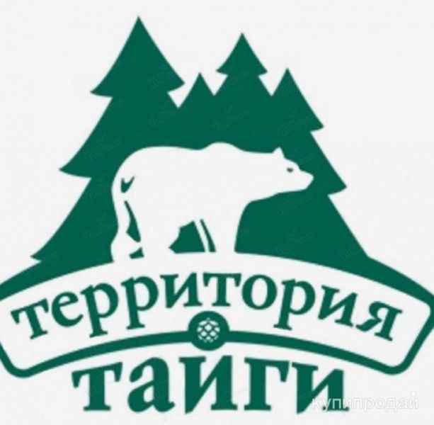 Территория тайги в Москве